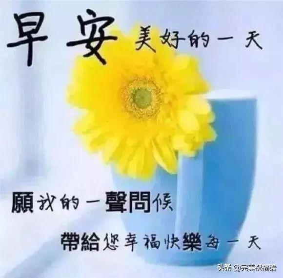 如何问候早晨好,微信里很温馨的早晨好暖心祝福句子 早上好微信问候祝福语录