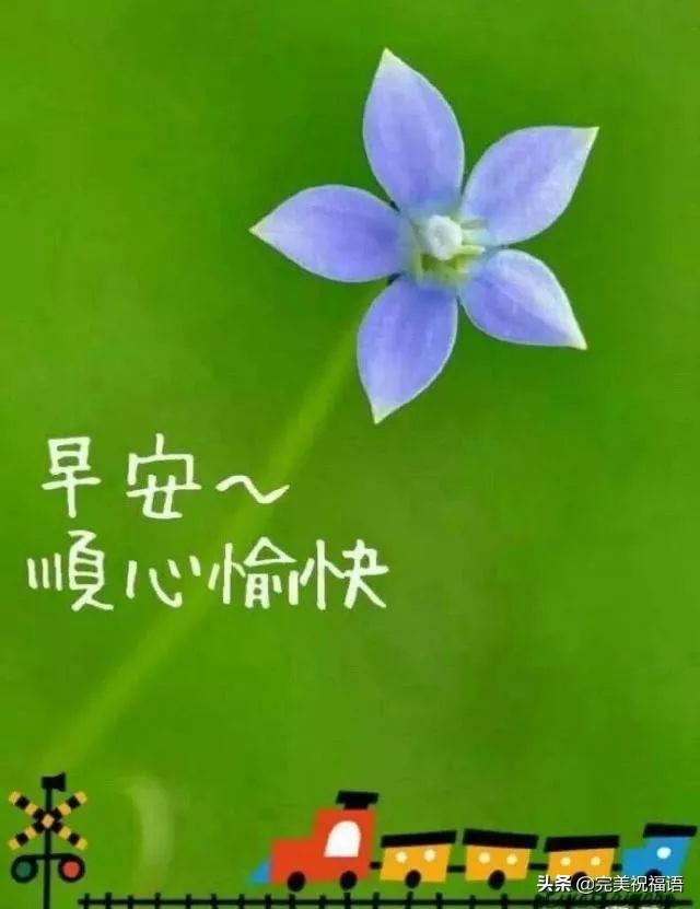 如何问候早晨好,微信里很温馨的早晨好暖心祝福句子 早上好微信问候祝福语录