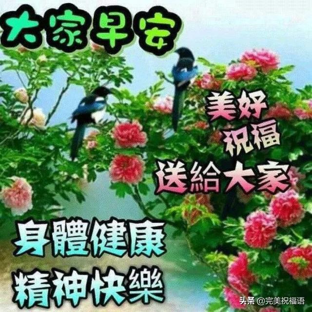 如何问候早晨好,微信里很温馨的早晨好暖心祝福句子 早上好微信问候祝福语录