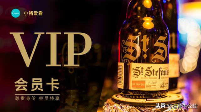 手机小说阅读软件,盘点2019 小说阅读APP的十大黑马收藏必备