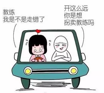 练车时，教练的经典语录有哪些？