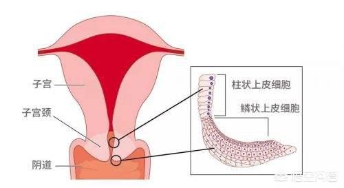 这个产品谁有好的广告软文？,产品软文范例软文