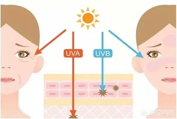 有没有spf30的防晒霜推荐？,李佳琦推荐的防晒霜