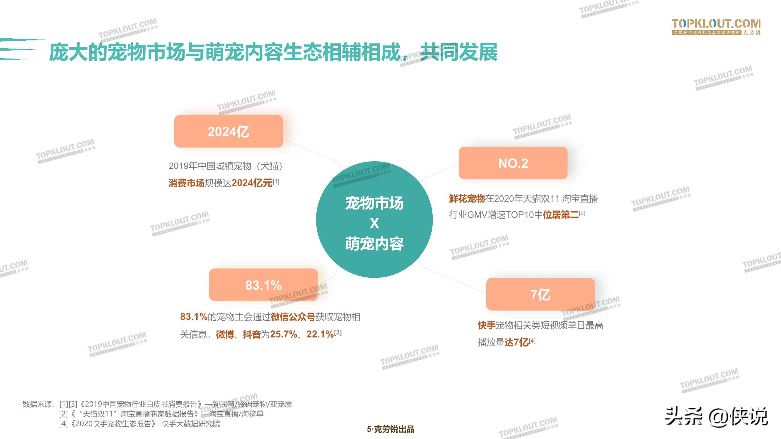 克劳锐：2020萌宠内容生态下的宠物经济插图3