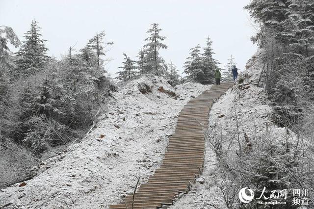 大相岭熊猫基地,走进四川大相岭自然保护区 大熊猫生活的绝佳境地