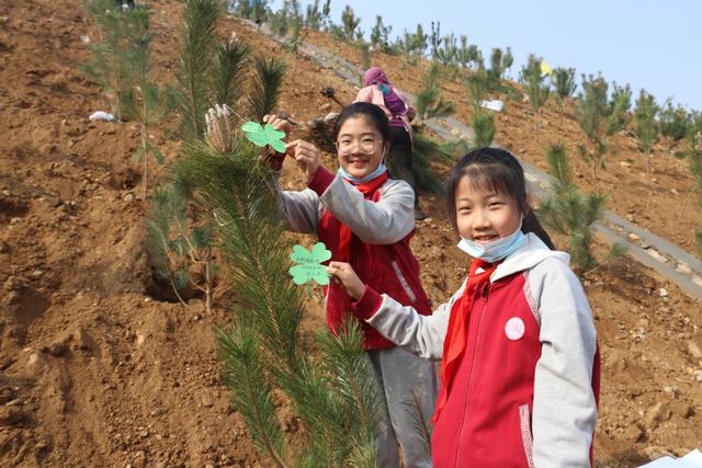 植树节活动植树,稚手添绿里口山，威海福泰小学组织“心怀绿水青山”植树活动