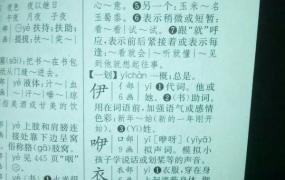 臆的拼音,拼音“yi”都有哪些字？