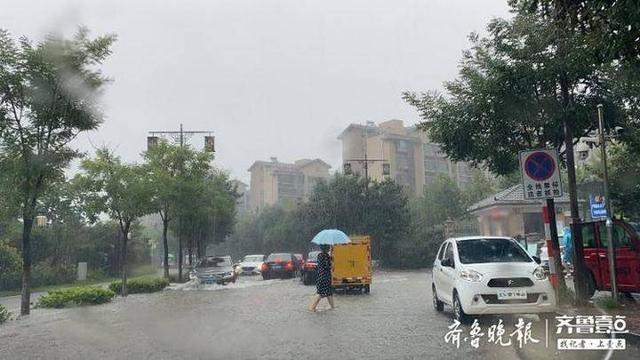 聊城大雨,聊城市普降暴雨，44个乡镇降下大暴雨