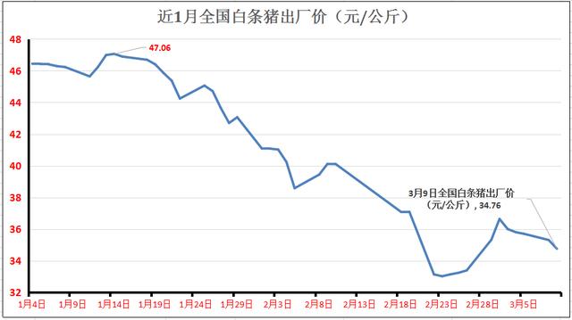 3月下旬猪价预测,猪价掉头走跌，北方跌成“重灾区”，3月猪价跌绿到底？预测来了