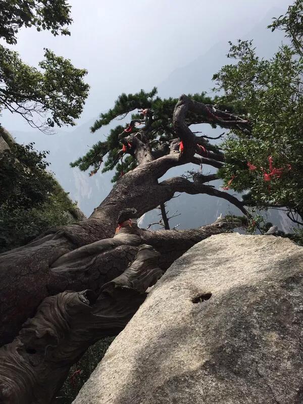 在华山夜爬是种怎样的体验？