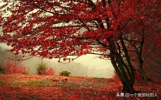 国庆去哪里自驾游有推荐的不？,春节自驾游最适合去哪里旅游