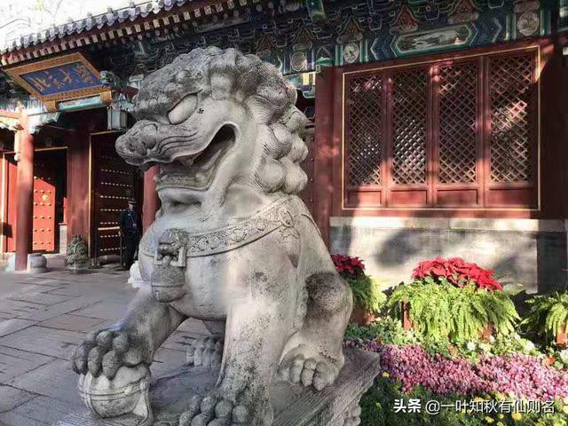 研究生推荐免试是什么,如何获得推免研究生资格？