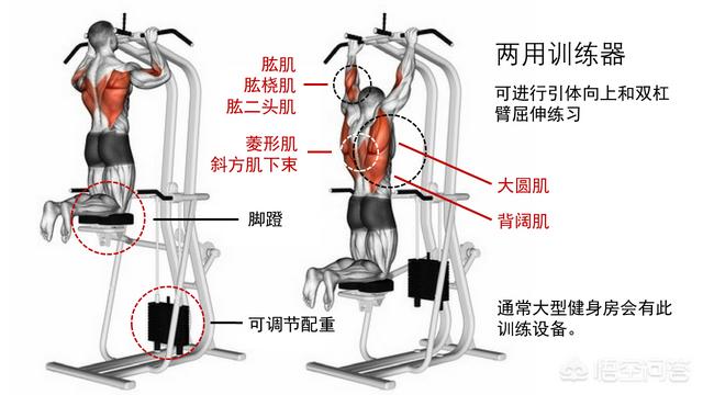 蜘蛛引体技巧,做引体向上有哪些注意事项？