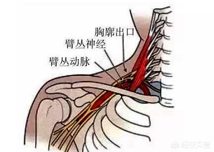 拇指医生在线问答,手指发麻怎么办？是什么原因？