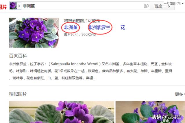 百度试图,手机和电脑如何用百度识图？