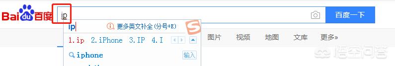 百度的ip地址,怎么查看手机的ip地址？