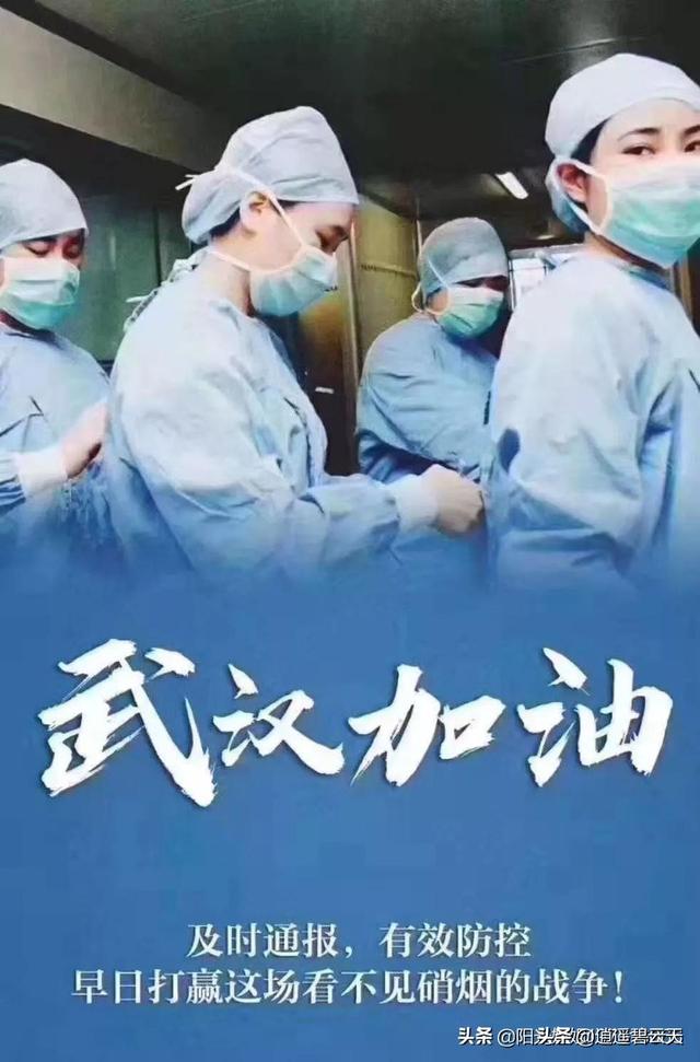 陈紫,荔枝状元红和状元香有区别吗？