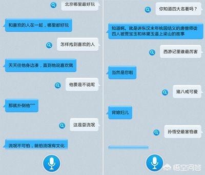 免费的在线客服,求分享令人搞笑的客服对话？