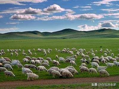 能不能发一张你觉得最美的家乡风景照，能让我在手机上旅游一次？