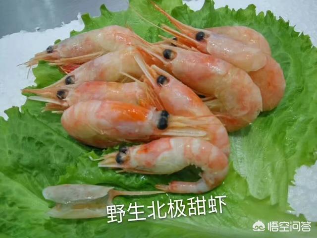 北极甜虾,北极甜虾能不能吃？为什么？