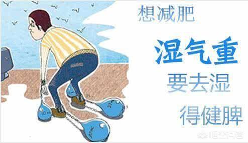 湿气重用什么泡水喝,什么东西泡水喝能去湿气？