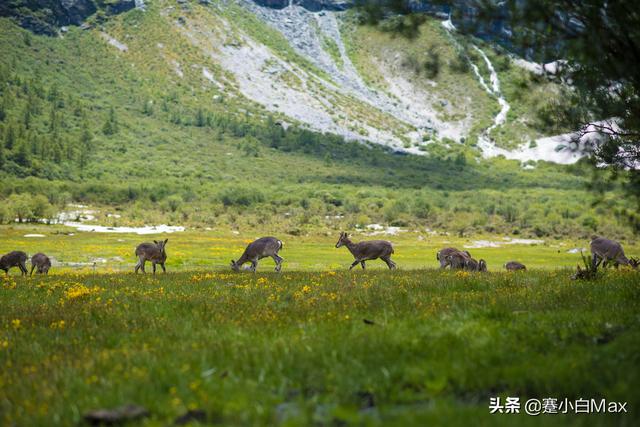 稻城亚丁海拔多少米高,有谁去过稻城亚丁，那边怎么样？