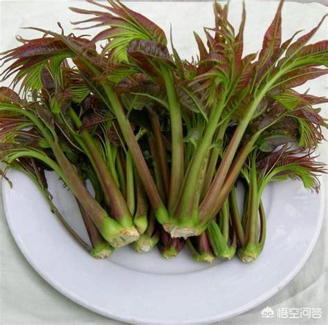 蒸野菜的做法,有哪些野菜是可以上桌吃的？