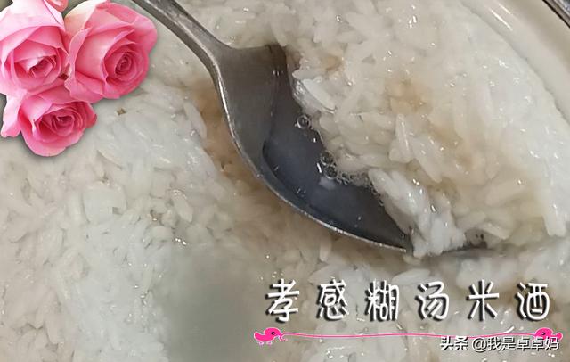 做甜酒酿的步骤,甜酒（醪糟）在家怎么自制？