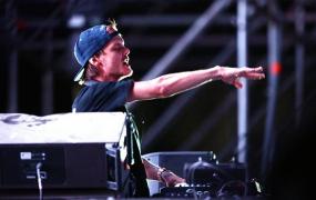 鸽王是什么梗,瑞典著名DJ Avicii去世，他为什么会被粉丝戏称为“鸽王”？