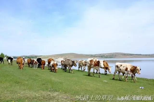 下届奥运会在哪里举行,冰雪之城只知道哈尔滨？这座低调的城市才是2022年冬奥会举办地