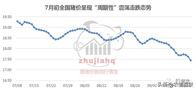 猪价格今年猪价格全国走势,猪价“变脸”！又要暴跌？四季度及2021年猪价预测里找答案