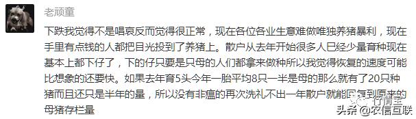 猪价格今年猪价格全国走势,猪价“变脸”！又要暴跌？四季度及2021年猪价预测里找答案