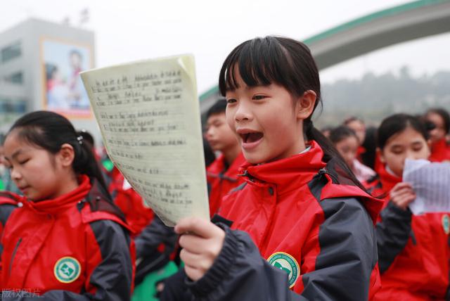 取消英语主科地位网友,政协委员许进：建议取消英语在中小学主科地位