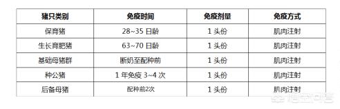 病毒重组亚蛋白,猪瘟脾淋苗、组织苗、细胞苗各自有何优缺点？如何选择猪瘟疫苗？