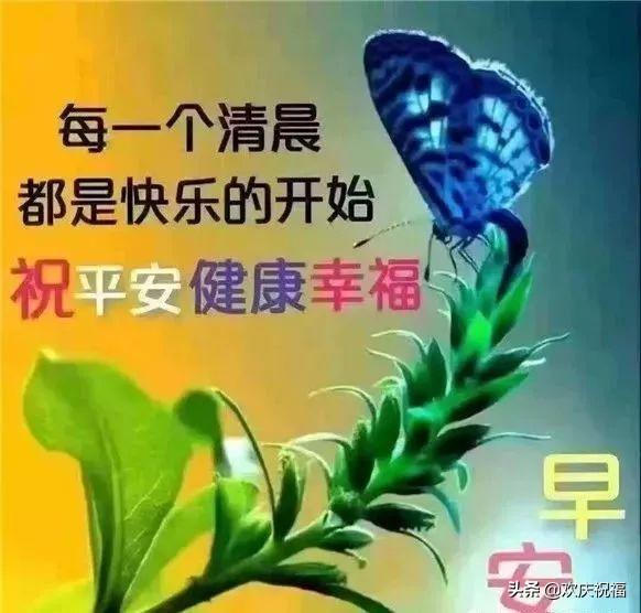 特别漂亮的早上好图片,清晨早上好的问候语和唯美图片大全