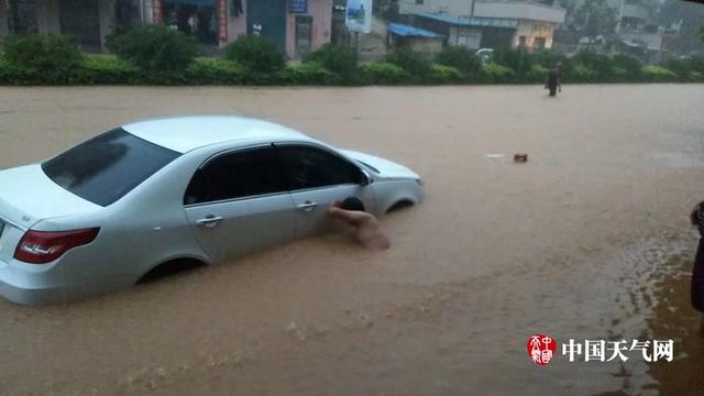 第十六号台风2017,台风记忆：盘点那些登陆过广东的台风