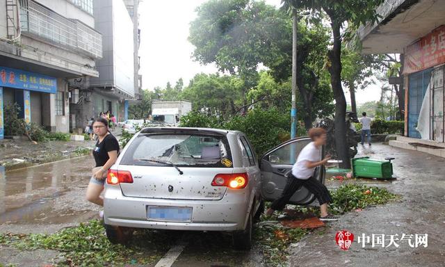 第十六号台风2017,台风记忆：盘点那些登陆过广东的台风