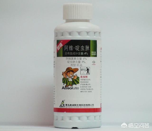 黑粉虫,黄粉虫与黑粉虫及大麦虫的区别是什么？