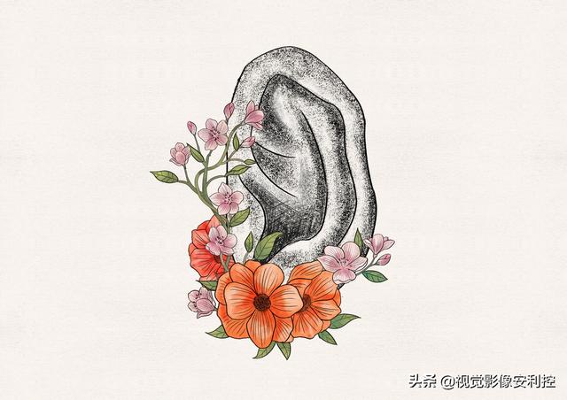 人体医学图片,「创意医疗插画」当器官遇上绽放的花，这样的插画太治愈了