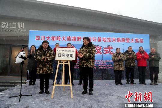 大相岭熊猫基地,四川大相岭大熊猫野化放归基地落成 两只大熊猫顺利入住