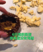 海胆蒸蛋看不见海胆,游客称“海胆蒸蛋没海胆”，还被提醒“别闹事”？官方通报来了