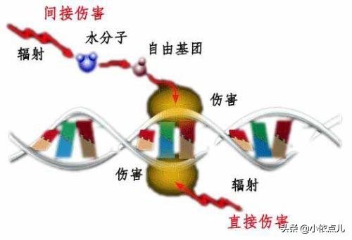 电离常数表达式,电离常数和电离程度的表达式有什么区别？