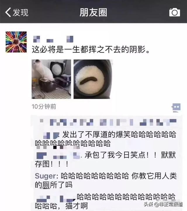 你看过哪些笑掉大牙的朋友圈？,超搞笑的句子笑掉大牙