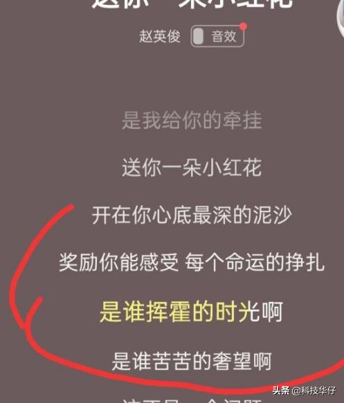 微博热议代发,赵英俊的“遗产”都给了谁？