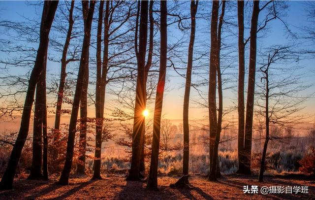 强引百度蜘蛛的方式码迷,人像剪影，有什么拍摄技巧么？