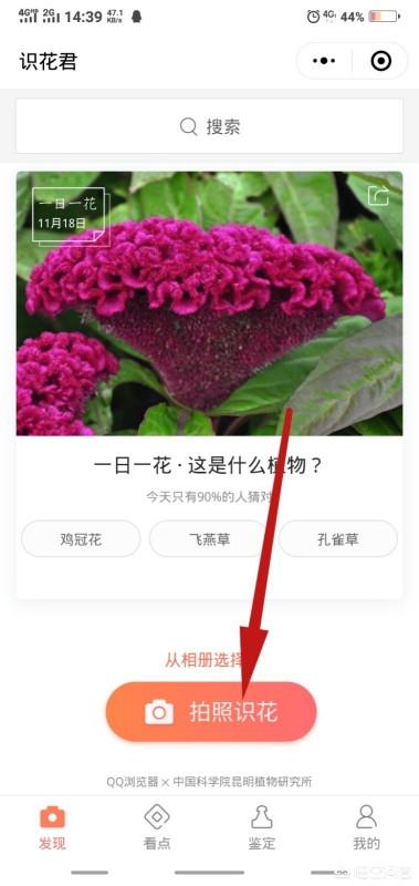 微信扫一扫识别植物,红米k30s怎样扫二维码？