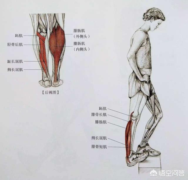 健身完肌肉酸痛怎么办,健身房撸铁后，肌肉酸痛怎么办？