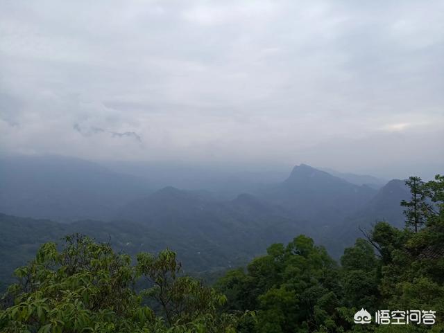 青城山在哪,青城山的前山和后山哪个值得去？