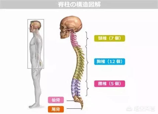 颈椎前倾严重如何矫正,颈椎老是酸痛，该怎么办？