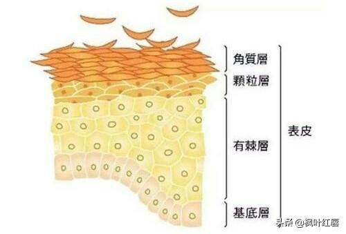 去角质产品排行榜10强,能否推荐一下脸部去角质的产品？